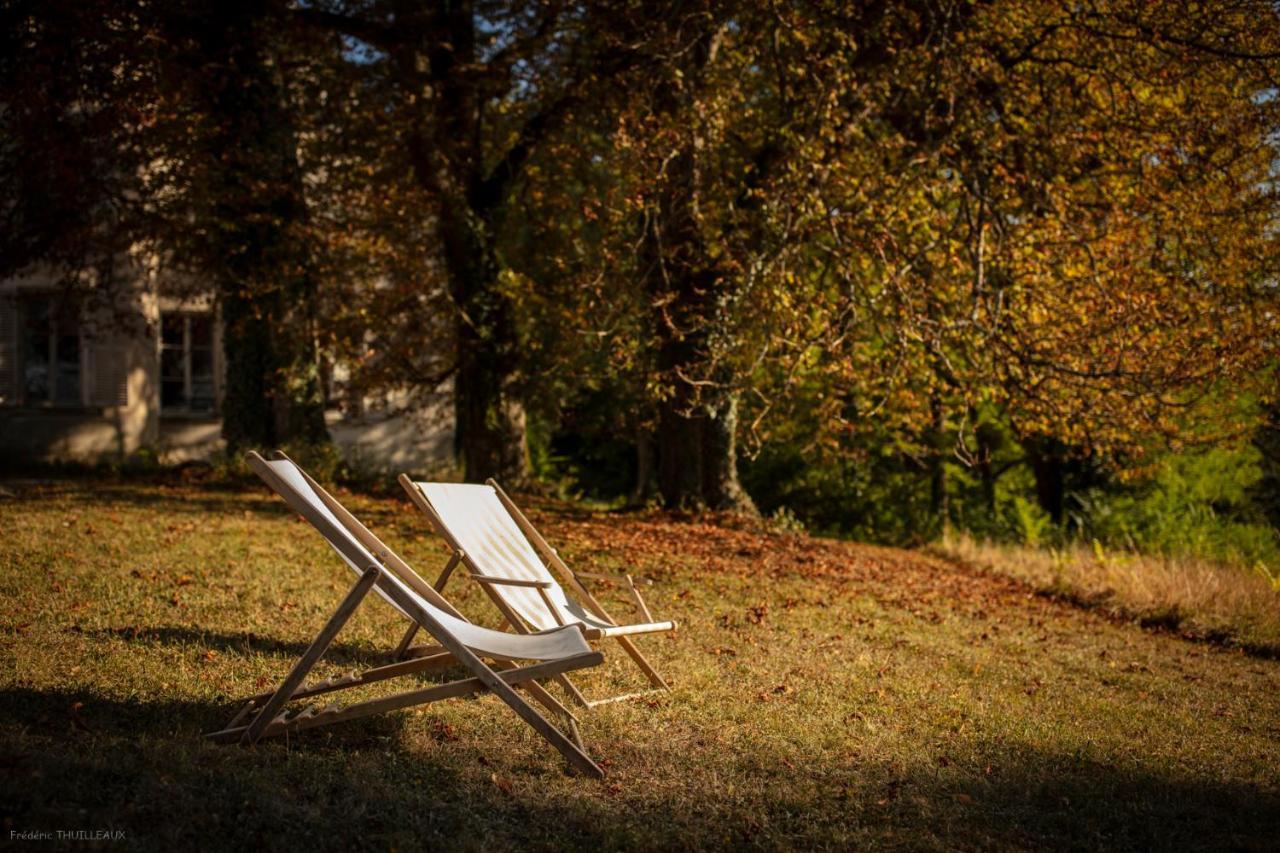 Chateau De Charnizay Bagian luar foto
