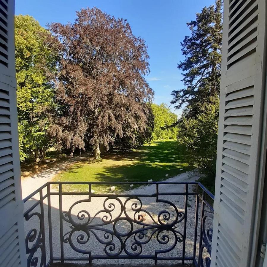 Chateau De Charnizay Bagian luar foto